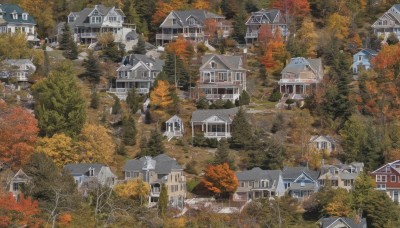 outdoors,tree,no humans,window,traditional media,building,nature,scenery,forest,painting (medium),autumn leaves,house,autumn,from above,mountain,architecture,east asian architecture,landscape,town