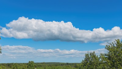 outdoors,sky,day,cloud,tree,blue sky,no humans,cloudy sky,grass,nature,scenery,forest,field,landscape,flower,signature,plant,summer