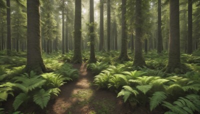 outdoors,day,tree,no humans,leaf,sunlight,grass,plant,nature,scenery,forest,road,bush,green theme,path,dappled sunlight,landscape