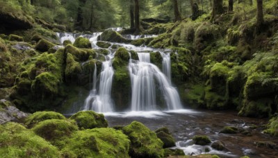 outdoors,day,water,tree,no humans,nature,scenery,forest,rock,river,waterfall,landscape,moss,stream