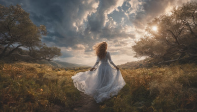 1girl, solo, long hair, long sleeves, dress, standing, outdoors, sky, cloud, from behind, white dress, tree, sunlight, cloudy sky, grass, scenery, skirt hold, sun, facing away, field