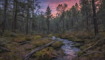 outdoors,sky,cloud,water,tree,dutch angle,no humans,cloudy sky,grass,plant,nature,scenery,forest,sunset,rock,ruins,bare tree,river,landscape,moss,road,path