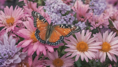 flower, outdoors, day, signature, blurry, no humans, depth of field, blurry background, animal, bug, butterfly, scenery, pink flower