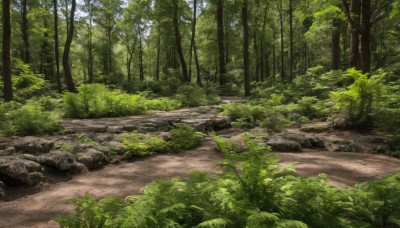 outdoors,day,tree,no humans,traditional media,grass,plant,nature,scenery,forest,rock,road,bush,path,sky,river,landscape