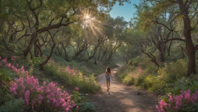 1girl,solo,long hair,skirt,brown hair,shirt,black hair,standing,flower,outdoors,sky,shorts,day,from behind,tree,blue sky,blue skirt,shadow,sunlight,grass,plant,denim,nature,scenery,pink flower,forest,walking,blue shorts,facing away,road,bush,summer,wide shot,fireworks,path,white shirt,sleeveless,sleeveless shirt