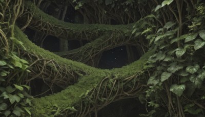 outdoors,sky,tree,no humans,night,leaf,traditional media,grass,plant,star (sky),nature,scenery,forest,starry sky,vines,green theme,moss,overgrown,artist name,night sky,branch,dark