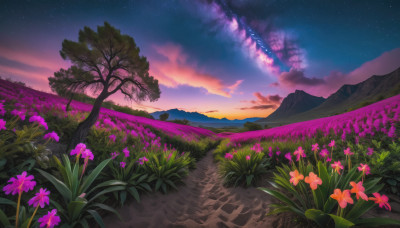 flower, outdoors, sky, cloud, tree, no humans, night, grass, star (sky), night sky, scenery, starry sky, sunset, mountain, road, field, landscape, mountainous horizon, path