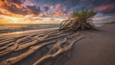 outdoors, sky, cloud, tree, dutch angle, no humans, bird, ocean, beach, cloudy sky, scenery, sunset, sand, horizon