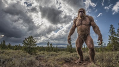 solo,open mouth,1boy,standing,male focus,nude,outdoors,sky,day,cloud,tree,no humans,muscular,cloudy sky,grass,nature,scenery,forest,monster,realistic,giant,horror (theme),chest hair,kaijuu