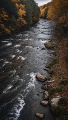 outdoors,sky,day,cloud,water,tree,no humans,grass,nature,scenery,forest,rock,river,landscape,stream,ocean,cloudy sky,waves,shore