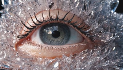 solo,looking at viewer,black hair,1boy,water,blurry,black eyes,eyelashes,close-up,1other,reflection,water drop,eye focus,1girl,bangs,blue eyes