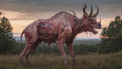 open mouth,outdoors,horns,sky,teeth,cloud,tree,no humans,blood,cloudy sky,grass,sharp teeth,nature,scenery,forest,sunset,monster,skeleton,bone,dinosaur,solo,horror (theme)