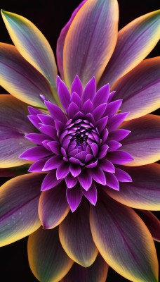 solo,simple background,flower,no humans,leaf,black background,pink flower,purple flower,still life,looking at viewer,glowing,plant,multiple tails