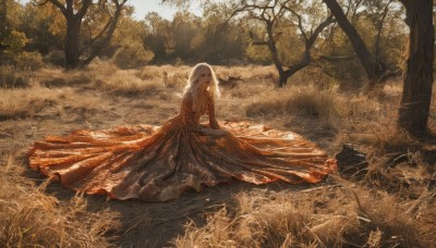 1girl,solo,long hair,breasts,looking at viewer,bangs,blue eyes,long sleeves,dress,cleavage,closed mouth,standing,white hair,outdoors,day,tree,see-through,red dress,sunlight,grass,nature,scenery,forest,long dress,sitting,on ground,orange dress