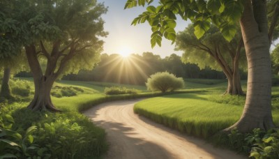 outdoors,sky,day,cloud,tree,blue sky,no humans,shadow,leaf,sunlight,grass,plant,nature,scenery,forest,sun,road,bush,path,landscape