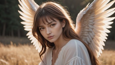 1girl,solo,long hair,looking at viewer,bangs,brown hair,dress,brown eyes,closed mouth,upper body,outdoors,parted lips,wings,white dress,blurry,lips,depth of field,blurry background,feathered wings,angel wings,realistic,nose,white wings,angel,collarbone,day,makeup,sunlight,messy hair,portrait,bokeh