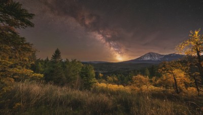 outdoors,sky,cloud,signature,tree,no humans,night,cloudy sky,grass,star (sky),nature,night sky,scenery,forest,starry sky,sunset,mountain,field,evening,landscape,mountainous horizon,hill,leaf,autumn