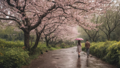 1girl, long hair, black hair, 1boy, dress, hetero, outdoors, from behind, tree, umbrella, grass, cherry blossoms, scenery, walking, holding umbrella, road, path