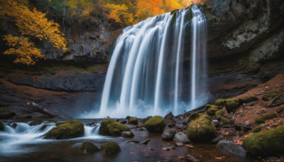 outdoors, water, tree, no humans, leaf, nature, scenery, forest, rock, river, waterfall, stream