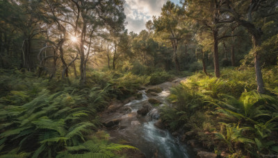 outdoors, sky, day, cloud, water, tree, no humans, sunlight, grass, plant, nature, scenery, forest, rock, sun, river, landscape