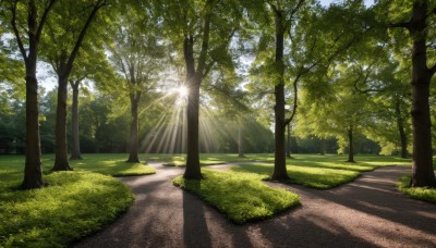 outdoors,sky,day,cloud,tree,no humans,shadow,sunlight,grass,nature,scenery,forest,light rays,road,bush,sunbeam,path,blue sky,plant