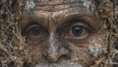 solo,looking at viewer,blue eyes,water,black eyes,no humans,portrait,close-up,ice,realistic,eye focus,1boy,green eyes,male focus,eyelashes