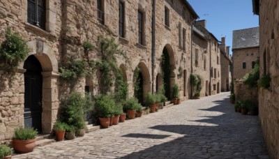 outdoors,sky,day,tree,blue sky,no humans,window,shadow,plant,building,scenery,city,door,potted plant,road,street,flower pot,bird,bush,arch,pavement