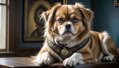 HQ,solo,looking at viewer,blue eyes,jewelry,indoors,necklace,no humans,window,animal,table,claws,dog,realistic,animal focus,picture frame,painting (object),brown eyes,closed mouth,lying,blurry,on stomach,wooden floor,portrait (object)