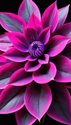 solo,simple background,flower,no humans,leaf,plant,black background,pink flower,purple flower,still life,realistic