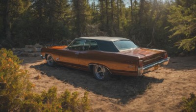 outdoors,day,tree,no humans,shadow,grass,ground vehicle,nature,scenery,motor vehicle,forest,realistic,car,road,bush,vehicle focus,wheel,sports car