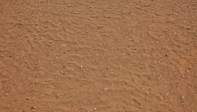 1girl,solo,monochrome,outdoors,tree,no humans,traditional media,scenery,sepia,brown theme,orange theme,comic,from above,rain