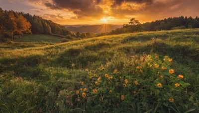 flower,outdoors,sky,cloud,tree,no humans,sunlight,cloudy sky,grass,ground vehicle,nature,scenery,forest,sunset,mountain,sun,road,riding,field,bicycle,evening,landscape,mountainous horizon,hill,plant,orange flower