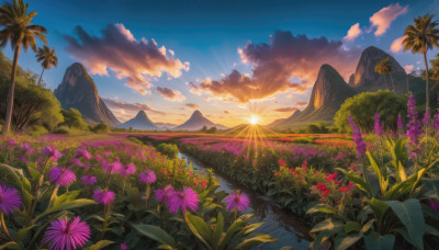 flower, outdoors, sky, cloud, water, tree, no humans, grass, plant, star (sky), nature, scenery, sunset, mountain, purple flower, sun, mountainous horizon