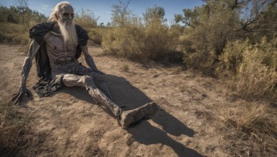 solo,looking at viewer,1boy,sitting,male focus,outdoors,sky,day,cape,tree,no humans,shadow,grass,nature,science fiction,realistic,ribs,skeleton,shirt,blue sky,facial hair,beard,monster,bald,old,old man,alien,horror (theme)