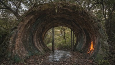 outdoors,day,tree,no humans,glowing,sunlight,grass,plant,nature,scenery,forest,road,path,moss,leaf,fire,fantasy,vines,overgrown