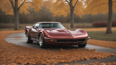 HQ,outdoors,tree,no humans,leaf,grass,ground vehicle,nature,scenery,motor vehicle,forest,realistic,car,road,autumn leaves,vehicle focus,autumn,sports car,solo