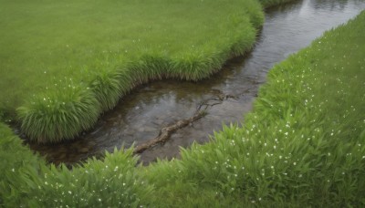 flower,outdoors,day,water,tree,no humans,traditional media,sunlight,grass,plant,white flower,nature,scenery,reflection,branch,river,road,path