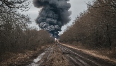 outdoors,sky,day,cloud,tree,no humans,cloudy sky,grass,nature,scenery,forest,smoke,road,bare tree,landscape,fog,path,realistic