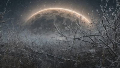 monochrome,outdoors,sky,tree,no humans,night,moon,star (sky),nature,night sky,scenery,full moon,starry sky,branch,planet,bare tree,plant,dark,space