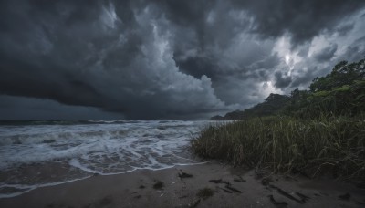 outdoors,sky,day,cloud,water,tree,no humans,ocean,beach,cloudy sky,grass,nature,scenery,rock,sand,horizon,waves,landscape,shore,night