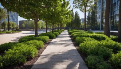 outdoors,sky,day,cloud,tree,blue sky,no humans,shadow,sunlight,grass,plant,building,nature,scenery,city,road,bush,cityscape,shade,street,path,park,window,fence