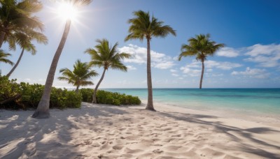 outdoors,sky,day,cloud,water,tree,blue sky,no humans,shadow,ocean,beach,sunlight,scenery,sand,palm tree,sun,horizon,bush,shade,summer,shore,cloudy sky