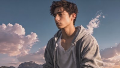 solo,short hair,brown hair,shirt,black hair,1boy,brown eyes,closed mouth,jacket,white shirt,upper body,male focus,outdoors,open clothes,sky,day,cloud,hood,open jacket,blue sky,hoodie,hood down,cloudy sky,hooded jacket,grey shirt,mountain,realistic,grey jacket,drawstring,grey hoodie,looking away