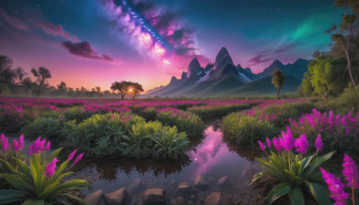 flower, outdoors, sky, cloud, water, tree, no humans, night, grass, star (sky), nature, night sky, scenery, starry sky, reflection, mountain