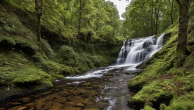 outdoors,day,water,tree,no humans,grass,nature,scenery,forest,rock,river,waterfall,landscape,moss,stream,sky