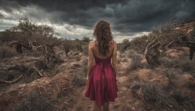 1girl,solo,long hair,brown hair,dress,bare shoulders,standing,outdoors,sky,cloud,from behind,tree,back,red dress,cloudy sky,scenery,arms at sides,facing away,ruins,grey sky,overcast,grass,nature,backless outfit,realistic,bare back,backless dress