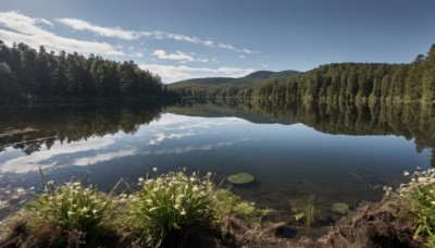 flower,outdoors,sky,day,cloud,water,tree,blue sky,no humans,cloudy sky,grass,plant,nature,scenery,forest,reflection,mountain,river,landscape,lake,rock,lily pad,moss,reflective water