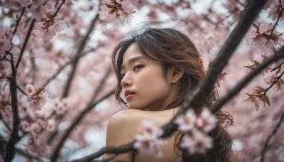 1girl, solo, long hair, looking at viewer, brown hair, upper body, flower, looking back, from behind, blurry, tree, lips, depth of field, cherry blossoms, realistic, nose, branch