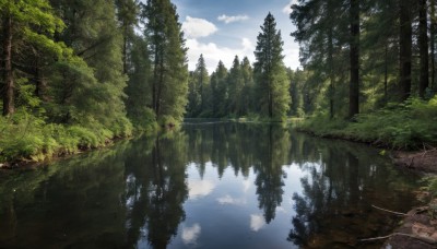 outdoors,sky,day,cloud,water,tree,blue sky,no humans,cloudy sky,grass,plant,nature,scenery,forest,reflection,ruins,bridge,river,landscape,overgrown,reflective water,lake