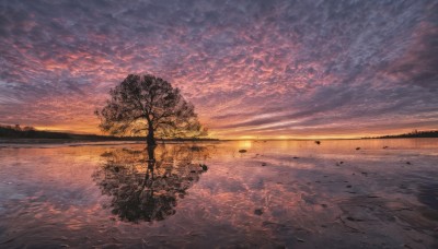 1girl,solo,standing,outdoors,sky,cloud,water,tree,no humans,ocean,leaf,cloudy sky,scenery,reflection,sunset,horizon,ripples,twilight,evening,reflective water,beach,sun,silhouette